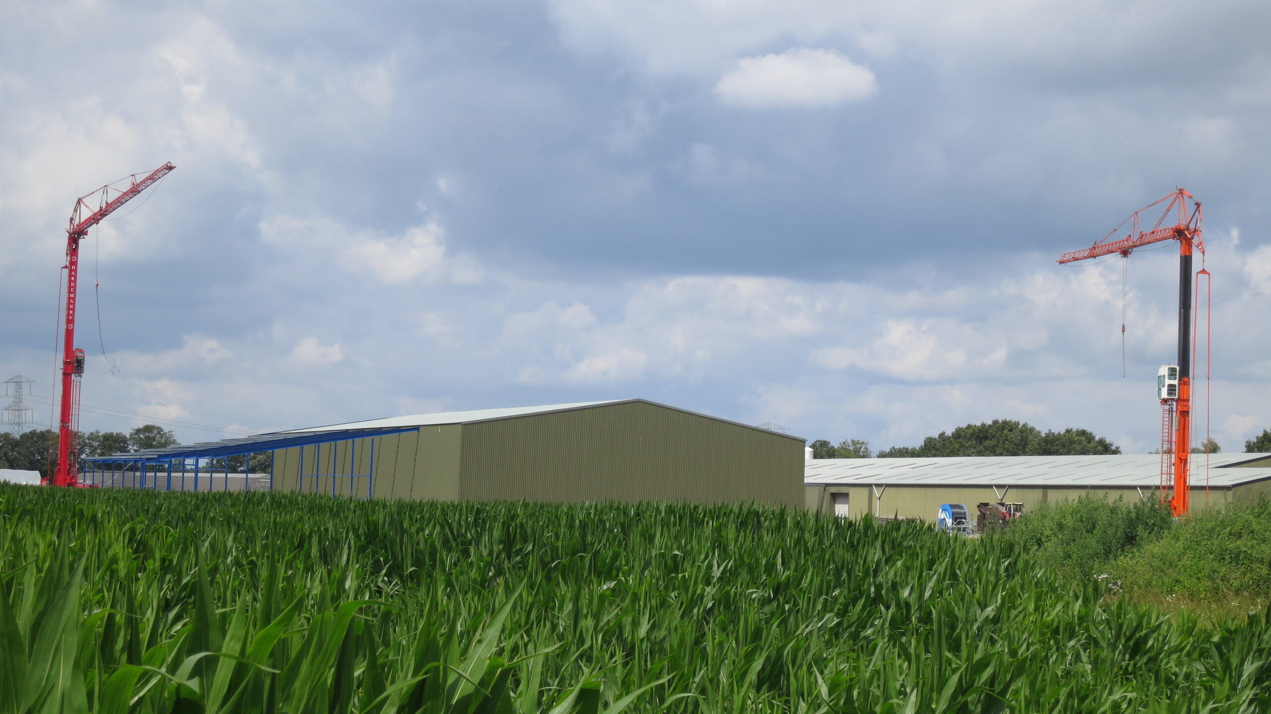 Vissers Aardbeiplanten (2012), America
